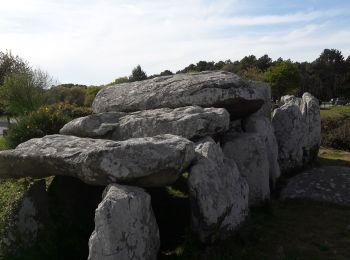 Excursión Bici de montaña La Trinité-sur-Mer - Trinité Sur Mer et la presqu'ile de Quiberon - Photo