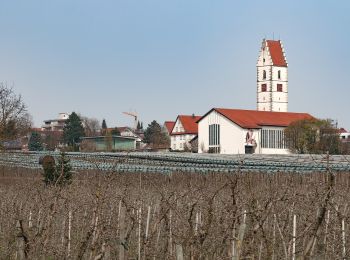 Randonnée A pied Oberteuringen - Teuringertal Bahnweg (