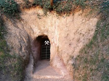 Randonnée A pied Hirschberg an der Bergstraße - Rundwanderweg Kohlbach 2 - Photo