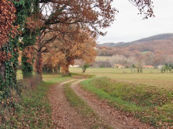 Percorso A piedi Les Cabannes - Boucle Les Cabannes/Bournazel/Cordes - Photo