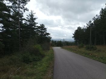 Tour Hybrid-Bike Gorges du Tarn Causses - Boucle du Causse Méjean - Photo