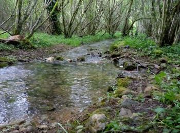 Randonnée Marche Lalinde - Sauveboeuf 14,4km - Photo