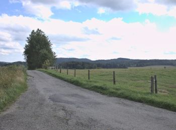 Trail On foot Leopoldschlag - Nordwaldkammweg Verbindungsweg V10 - Photo