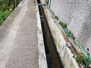 Randonnée Marche Machico - Madère : du tunnel de Caniçal à Porto da Cruz - aller en bus - Photo