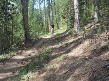 Percorso Mountainbike Barcellonetta - Le Bonnet Vert VTT - Photo