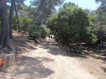 Trail Walking Hyères - Presqu'île Giens Ouest-26-05-23 - Photo