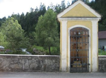 Tour Zu Fuß Gemeinde Rappottenstein - Hagenhofweg 2a - Photo