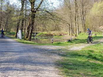 Tour Mountainbike Libin - Haute Lesse partie 1 - Photo