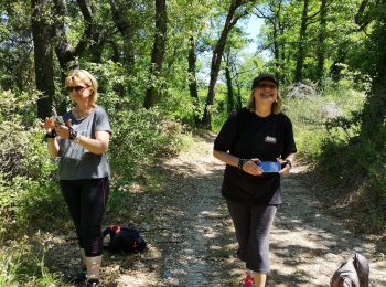 Excursión Marcha nórdica Villelaure - Villelaure Marche nordique - Photo