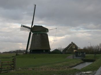 Excursión A pie Schagen - Burgerbrug blauw 8,1 km - Photo