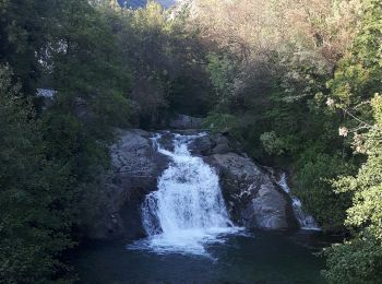 Excursión Senderismo Colombières-sur-Orb - Gorges de Colombières 26 10 2019 - Photo