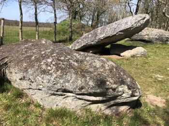 Excursión Senderismo Chauvé - Menhirs de Chauvé - Photo