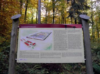 Trail On foot Holzhausen an der Haide - Rundwanderweg Holzhausen 2 - Photo