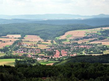 Tocht Te voet Dransfeld - Rundwanderweg Dransfeld 2 - Photo