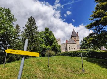 Randonnée A pied Gemeinde Raach am Hochgebirge - Eiben Rundwanderweg (Schlagl) - Photo