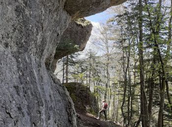 Tour Wandern Engins - Pas du curé Pas de la Corne - Photo