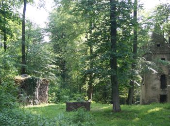 Percorso A piedi Hanau - Spessartspuren - Niederrodenbach - Barbarossaquelle und Klosterruine - Photo