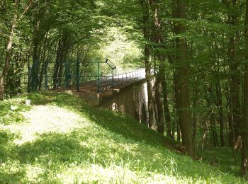 Trail On foot Unknown - Weidlingau - Laab im Walde - Photo