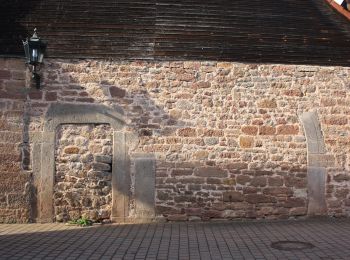 Tour Zu Fuß Poppenhausen - Poppenhausen - Rhön-Rundweg 4 - Photo