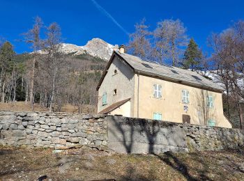 Randonnée Marche Montmaur - Les Sauvas - Photo