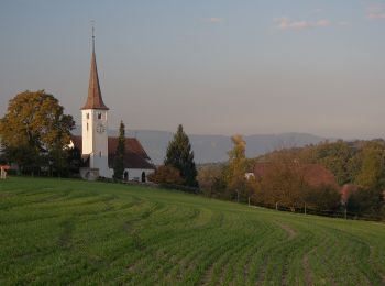 Tocht Te voet Oberwil bei Büren - Oberwil - Photo