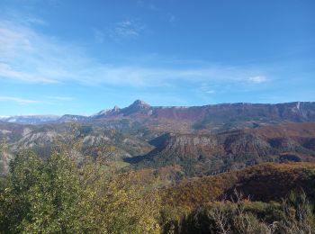 Randonnée Marche Digne-les-Bains - Chapelle St Pancrace 18.11.23 - Photo