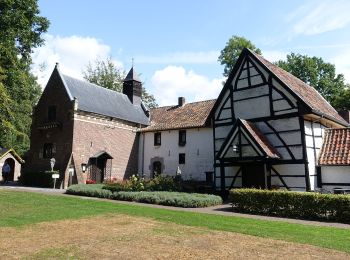 Randonnée A pied Hoeselt - Vrijhern Blauwe ruit - Photo