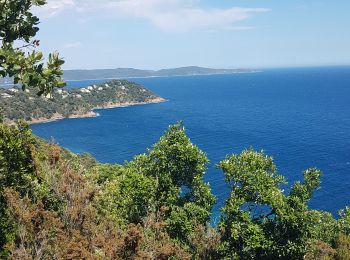 Randonnée Marche Cavalaire-sur-Mer - CAVALAIRE  - Photo