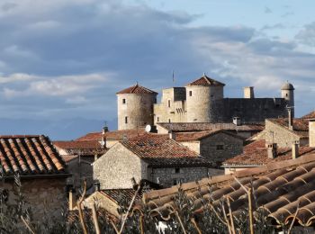 Excursión Marcha nórdica Labastide-de-Virac - Chapelle St Romain la Bastide de Virac - Photo