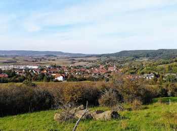 Percorso A piedi Königsberg in Bayern - Lauftour KÖN3 - Photo