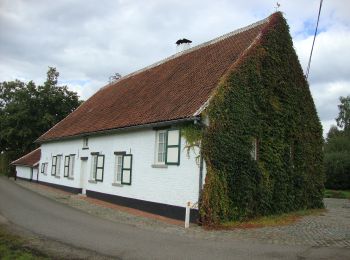 Percorso A piedi Holsbeek - Hagelandse Vallei Oranje bol - Photo