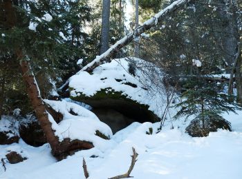 Randonnée A pied Stožec - Naučná Medvědí stezka - Photo