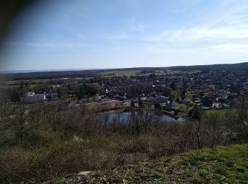 Randonnée Marche Sentheim - Sentheim Rammersmatt Bourbach/Bas - Photo