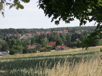 Excursión A pie Otzberg - Rundwanderweg Hassenroth 3 : Waldlehrpfad - Photo