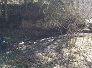 Percorso A piedi Saint-Gervais - Le Rivet ou la ferme des Ecouges - Photo