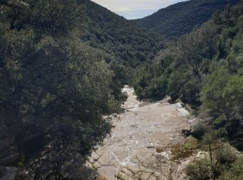 Tour Wandern Mialet - Mialet Paussan les Puechs - Photo