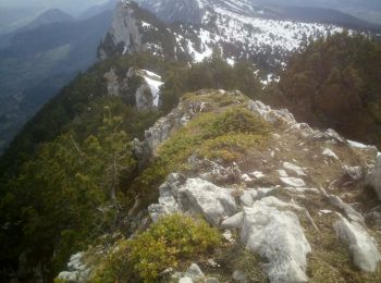 Tocht Trail Seyssinet-Pariset - reprise moucherite jolie - Photo