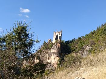 Tour Wandern Mas-Saint-Chély - 2023/09 Tarn. la malene - Photo