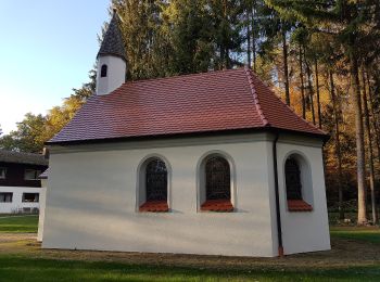 Tour Zu Fuß Ilmmünster - Reichertshausener Wege (4 / rot-mittel) - Photo