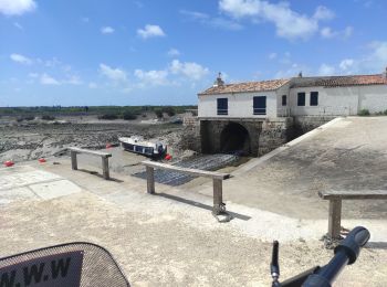 Tour Elektrofahrrad Saint-Martin-de-Ré - tour de vélo sur l'île de Ré  - Photo