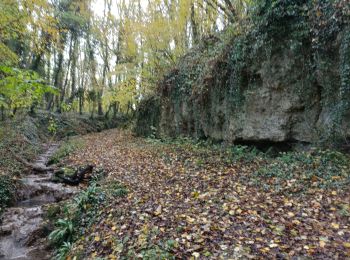 Tour Wandern Guérard - Guérard /Celle sur Morin - Photo