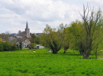 Excursión Senderismo Sombreffe - Marche Adeps à Tongrinne - Sombreffe - Photo