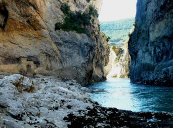 Tocht Te voet Lumbier - Foz de Lumbier (ruta corta) - Photo