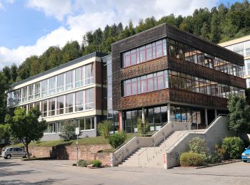 Randonnée A pied Eberbach - Rundwanderweg Am Gymnasium 1: Hohe-Warte-Weg - Photo