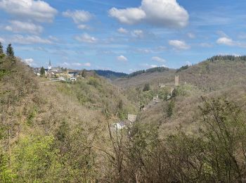 Randonnée Marche Manderscheid - Manderscheid et Mosenberg (Eifel) - Photo