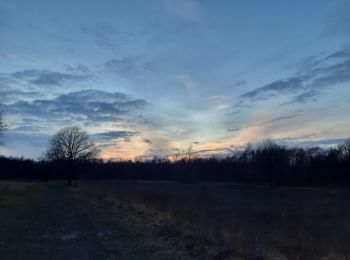 Tocht Stappen Luik - autour de Streupas - Photo