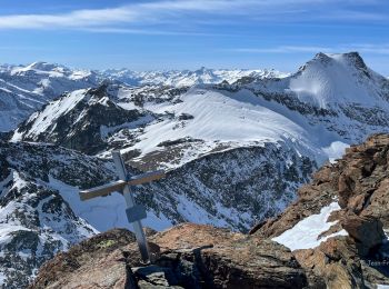 Tour Skiwanderen Bonneval-sur-Arc - Bessans Ski Rando - Photo