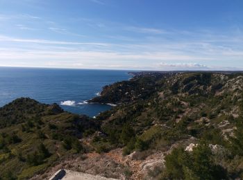 Tour Wandern Ensuès-la-Redonne - Mejean - Photo