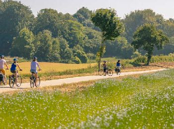 Randonnée Marche Hautot-sur-Mer - La route du lin - Photo