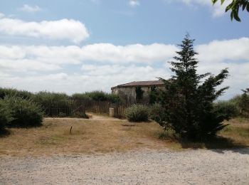 Trail Walking La Guérinière - la Gueriniere par la plage et les pins - Photo